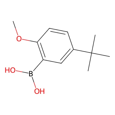 cplabsafety-3202607141922001253541