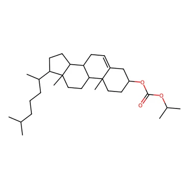 cplabsafety-3202607141926051254022