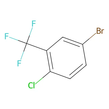 cplabsafety-3202607141941211255618