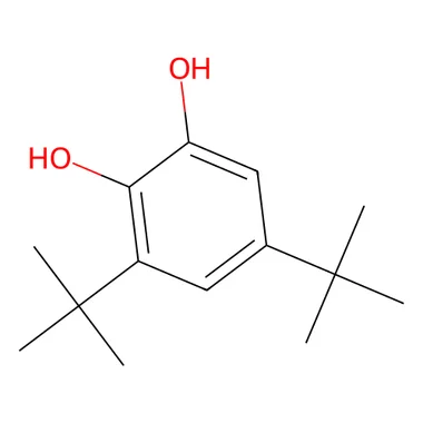 cplabsafety-3202607141950301256578