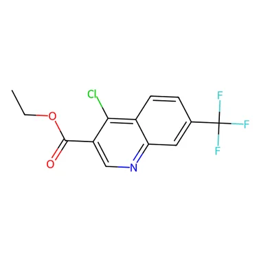 cplabsafety-3202607142022121259588
