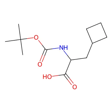 cplabsafety-3202607142116431264227