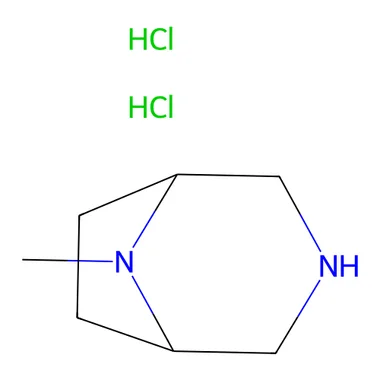 cplabsafety-3202607142233301274556