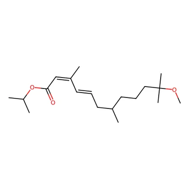 cplabsafety-3202607142355571287092