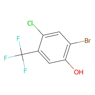 cplabsafety-3202607150027211291085
