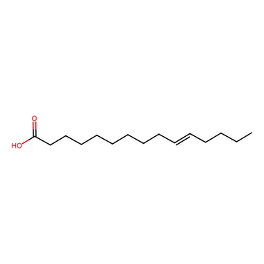 cplabsafety-3202607150116341297346