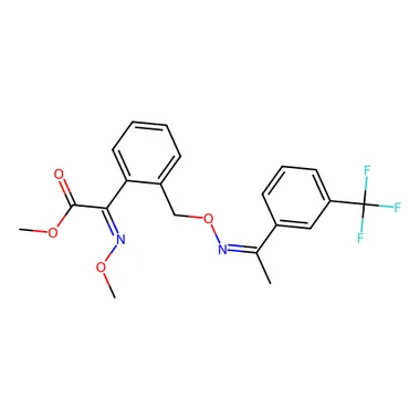 cplabsafety-3202607150205541306599