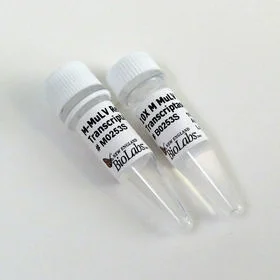 dabos-120260712054432914080