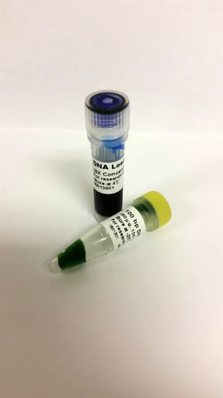 dabos-1202607130517451059011