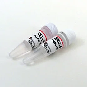 dabos-1202607130517591059020