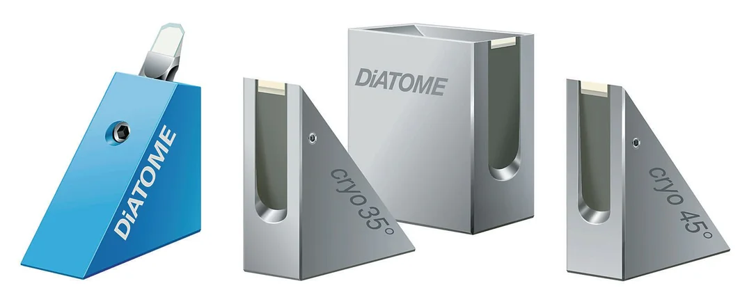 dabos-1202607130534221059948