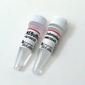 dabos-1202607132135451139401