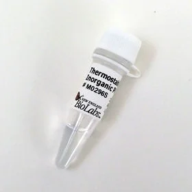 dabos-1202607132136141139453