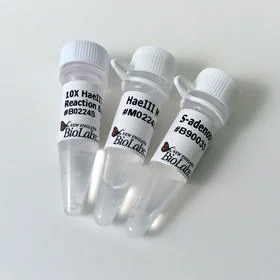dabos-1202607132137231139589