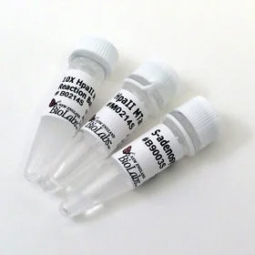dabos-1202607140123241157279