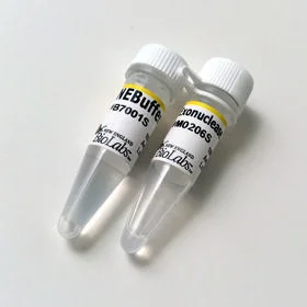 dabos-1202607140128321157637