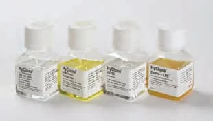 dabos-1202607140730361187805