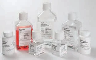 dabos-1202607140730501187831