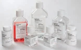 dabos-1202607140730551187837