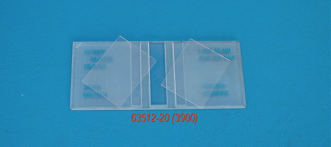 dabos-1202607140731061187856
