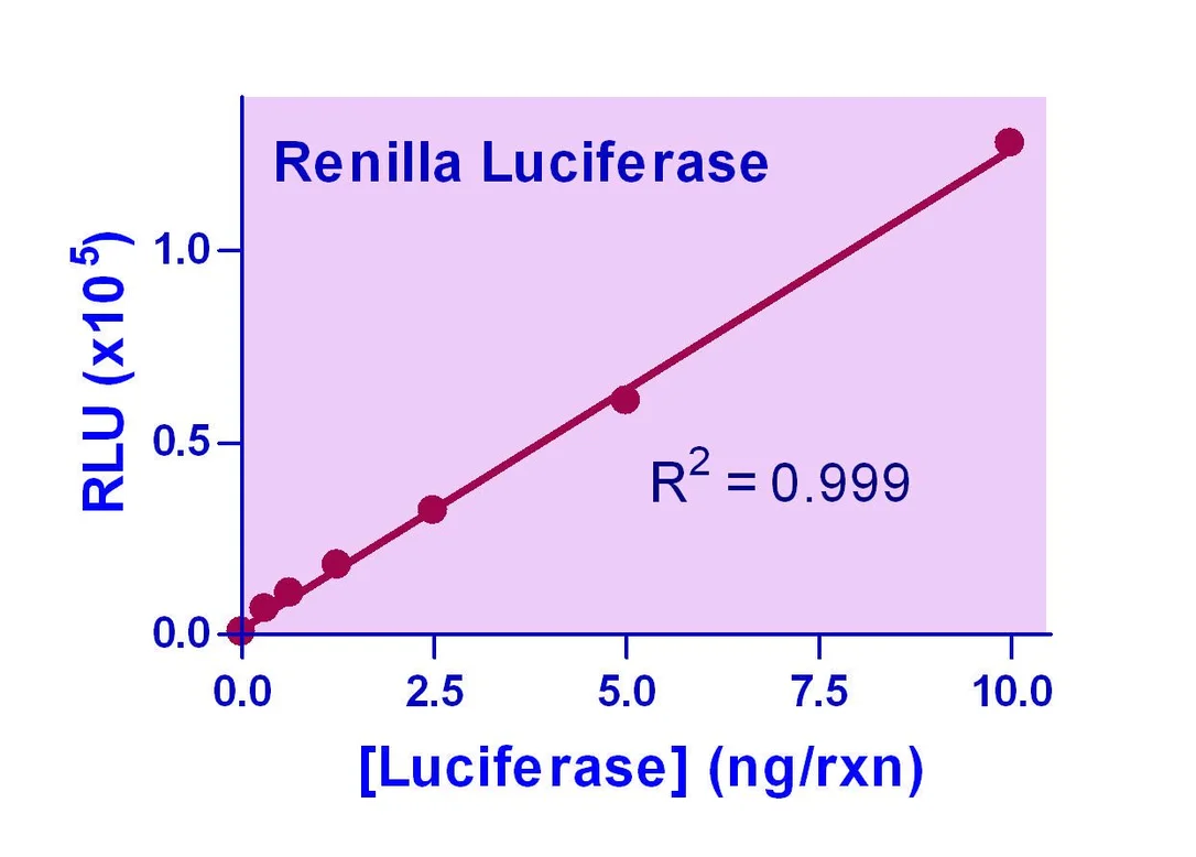 dabos-1202607140822451192843