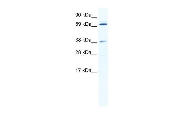 dabos-1202607140846041194846