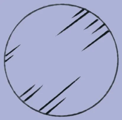 dabos-1202607142210031271038