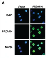 dabos-220260712112930953850