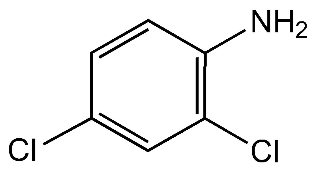 dabos-220260712125420962845