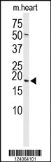 dabos-220260712135359969594