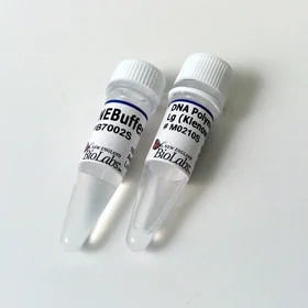 dabos-2202607122149311018559