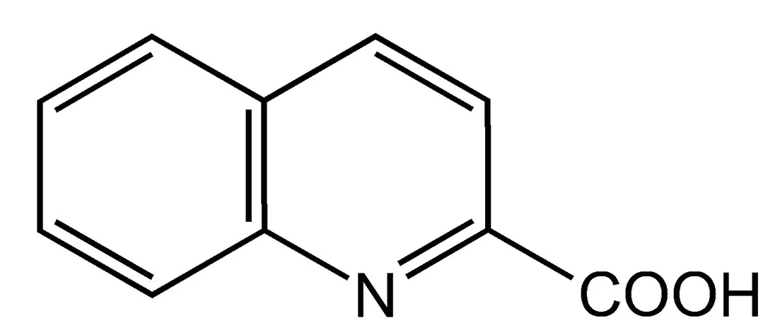dabos-2202607130343491052745