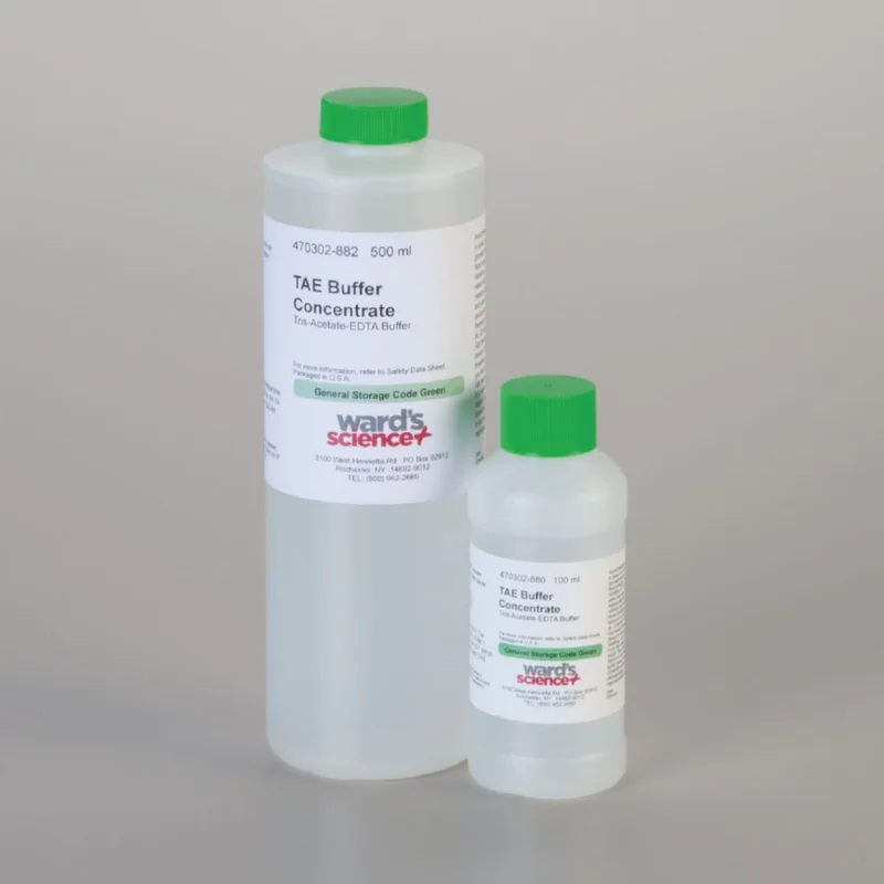 dabos-2202607131349051095014
