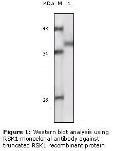 dabos-2202607132037541132736