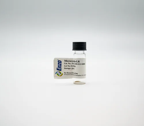 dabos-2202607132238301145695