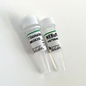 dabos20260711220515876525