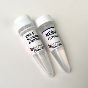 dabos20260711220535876552