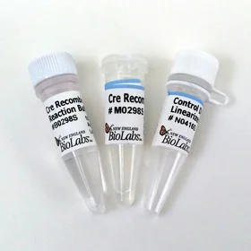 dabos20260711221035876992