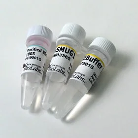 dabos20260711221113877045