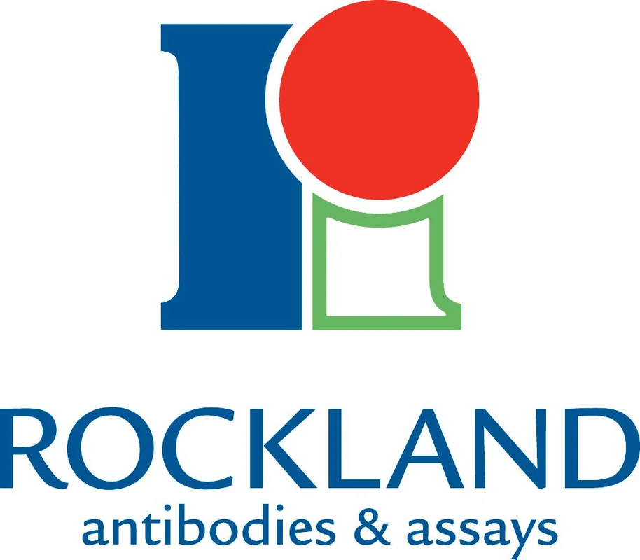 dabos20260712164847986671