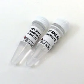 dabos20260712175739993804