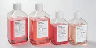 dabos202607122117171015220