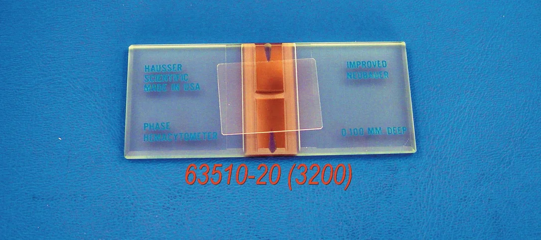 dabos202607122136541017193