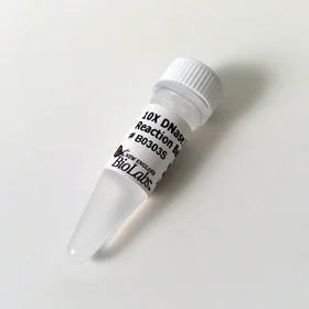dabos202607122156251019399
