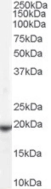 dabos202607130047371037929