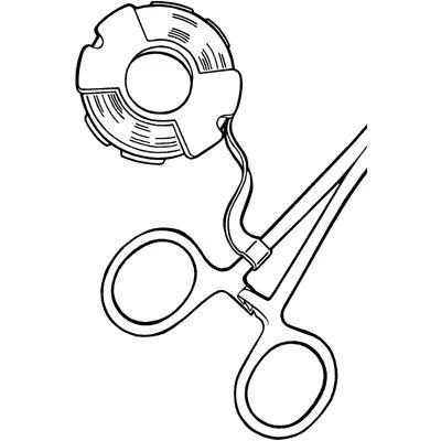 dabos202607130435401056177
