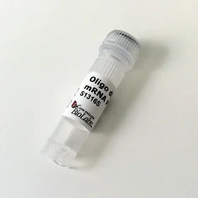 dabos202607132314261149292
