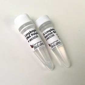 dabos202607140028371154450