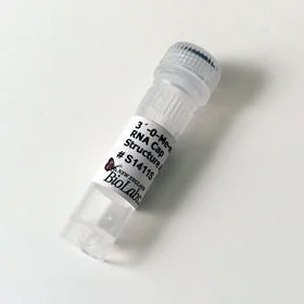 dabos202607140038011154907