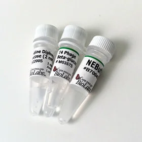 dabos202607140558031179789